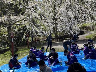 4月13日　『お花見』
<br>
前沢町内の『専念寺』『霊桃寺』でみんなでお花見。
<br>
ここには何種類か桜が植えられていましたね。
<br>
みんな違いがわっかたかな？