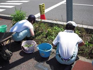 校内実習・特設班　
<br>
学校外周辺の草取りに取り組んでいる様子です。