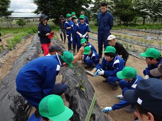 ６月２１日（木）
<br>
水沢農業高校との交流で畑作業を指導してもらいました。みんな真剣な表情で取り組んでいます。