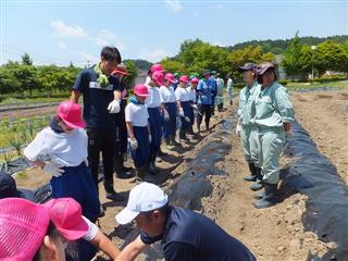 ６月４日（火）
<br>
水沢農業高校との交流で畑作業を指導してもらいました。高校生のお兄さん、お姉さんに手伝ってもらいながら苗植えや種まきをしました。
