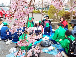 ４月24日（水）
<br>
前沢ふれあいセンターでお花見を行いました。桜の花をを見ながら新しいクラスの仲間と交流を深めました。