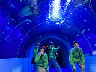 　もぐらんぴあ水族館のトンネル水槽では、東日本大震災を乗り越えたウミガメの「カメ吉」を発見し、大興奮でした。