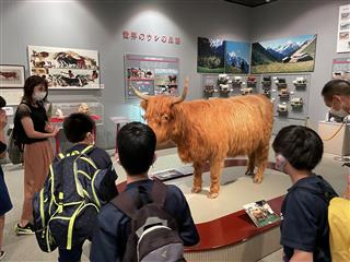牛の博物館で前沢牛の歴史について学びました！