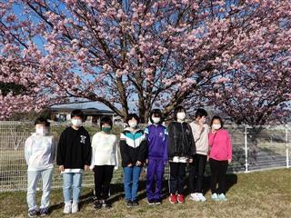 校地内に咲いている満開の桜を見ながら、散歩をしました。