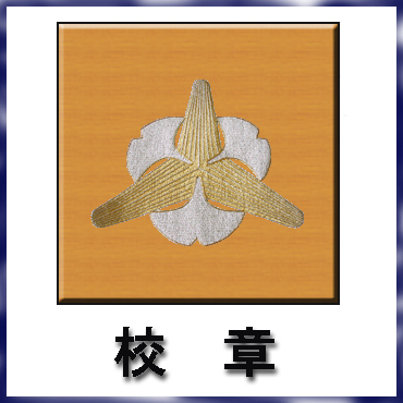 �R�c���Z�Z��