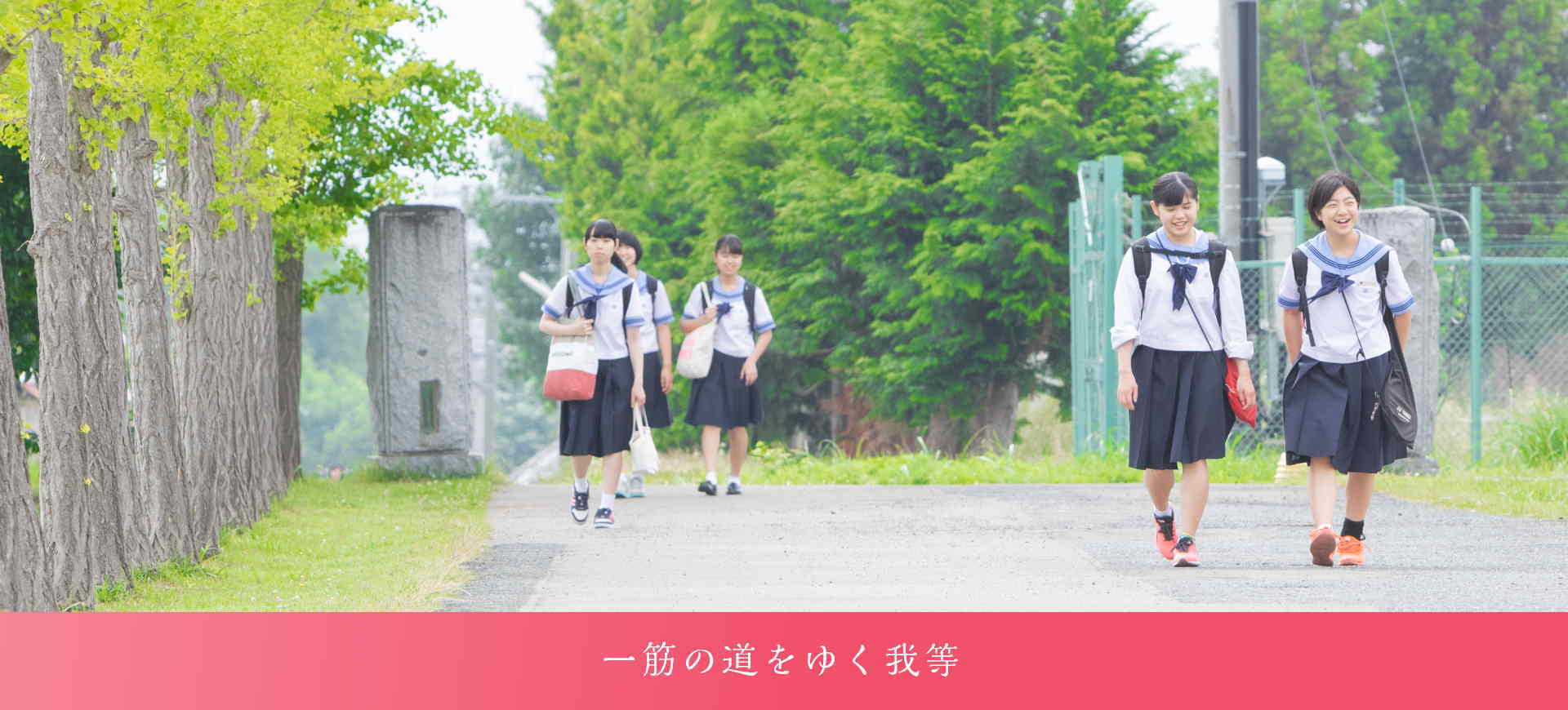岩手 県立 花 北 青雲 高等 学校