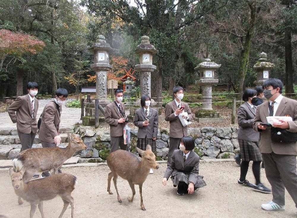 修学旅行(2年生)
