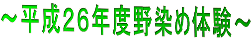 ～平成２６年度野染め体験～