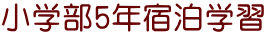 小学部5年宿泊学習