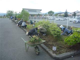 　花壇には、かなりの雑草が生えていましたが、参加者全員で一斉に除草しました。