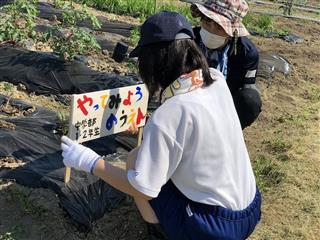 畑の名前は「やってみよう農園」。生徒たちの投票で決めました。