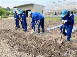 「野菜を育てよう」では、畑の天地返しから始めました。