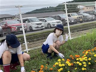 ７月１４日（木）にひまわりを花壇に植えました。
<br>
暑い中たくさんの花が咲くように頑張りました。