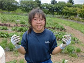 あっという間に野菜が大きくなり、収穫！！