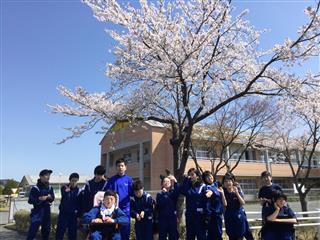 桜の木の下でみんなで写真を撮りました！