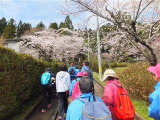 「春を伝えよう」
<br>
お花見をしながら、自分たちで前沢地区の春のプローモーションビデオを撮影しました。