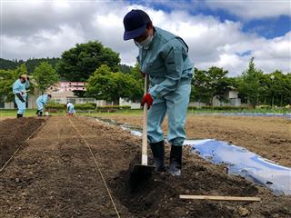 校内実習：農耕班
<br>
畝つくりや野菜の定植、水やりを行いました。実習後半では立派な野菜の収穫をしました。