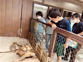 サファリパークで昼食をとりました。
<br>
みんなで動物を見る時間もあり、普段見ることのできない動物にびっくり！