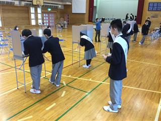 ここに写真のコメントを記入します。