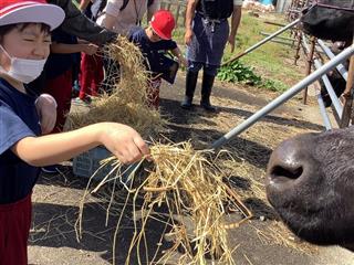 牛さん、どうぞ・・・いっぱい食べてね～！