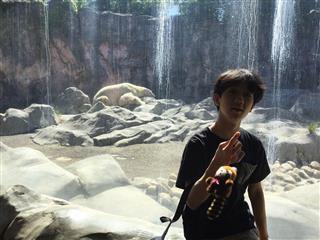 しろくまとツーショット！気に入ったアライグマのぬいぐるみも買うことができました。<br>
