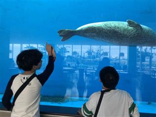 大きな水槽と気持ちよさそうに泳ぐ動物たちに、興味津々の二人。