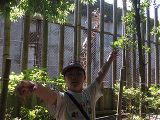 八木山動物公園では、動物をたくさん見ました。<br>
「キリンがいたよ。でっかいな～」