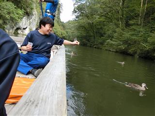 かもや鯉に餌をあげてきました。「かもさん、カモン！」