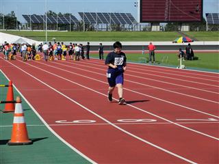 50ｍ走女子。全力疾走で練習の成果を発揮しました。