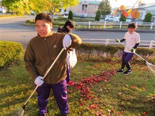 熊手を使って落ち葉を集めました。