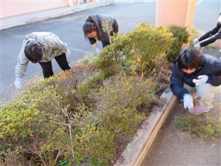 つつじ棟は、寄宿舎前の花壇整備を行いました