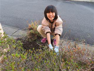 雑草がなかなか抜けません！頑張って抜きました。