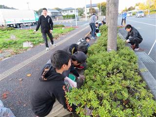 グループに分かれて、草を取りました。