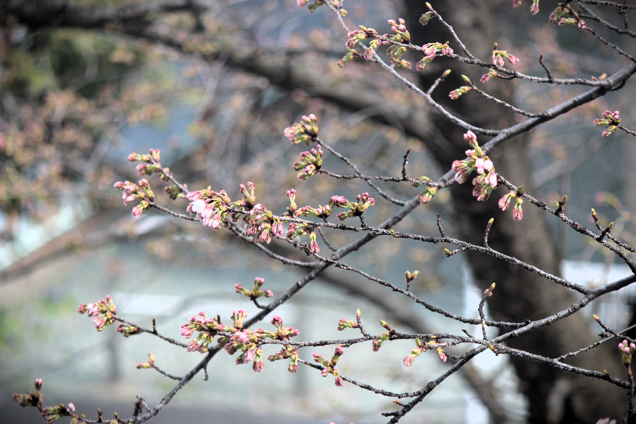 4��6���̎��]�Ԓu��