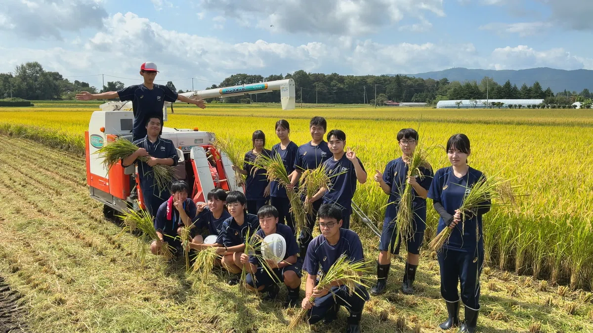 エコロジー・フード系列 みんなで稲刈り